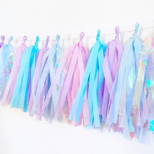 Tassel Garland | Frozen Party Decorations | Winter Wonderland Party | Baby Shower Decorations |Iridescent Banner | Winter theme party