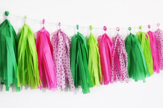 Tassel Garland Tassel Banner Pink and Green Tassel Garland Pink and Green  Party Decor Watermelon Tassel Garland Watermelon Party 