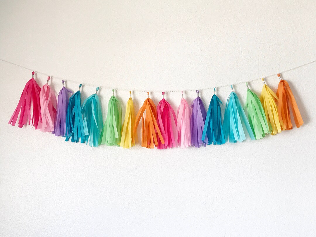 Tassel Garland Tassel Banner Rainbow Tassel Garland Rainbow Party Decor