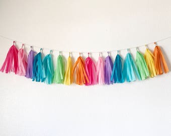 Tassel Garland | Tassel Banner | Rainbow Tassel Garland | Rainbow Party Decor | Unicorn Tassel Garland | Unicorn Party Decor | Pastel Rainbo