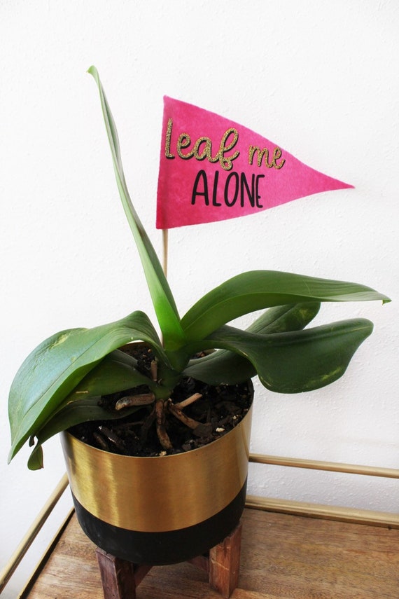 Plant Markers | Plant Stakes | Felt Flags | Plant Decor | Funny Plant Signs | Home Decor | Pennant Flags | Plant Flags | Funny Gifts | Plant Il_570xn