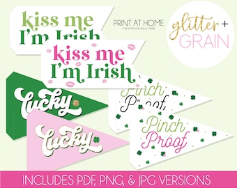 St. Patrick’s Day Printable Pennant Flags | St Patricks Day DIY Party Favor | Kids Party Decor| kids Photo Prop | Printable Party | Pdf |