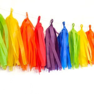 Rainbow Tassel Garland | Tassel Banner | Rainbow Banner | Rainbow Party Decor | Roy G Biv | Rainbow Birthday | PRIDE | Unicorn Party