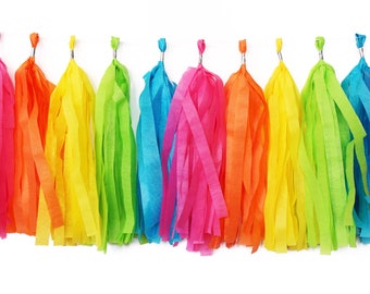 Rainbow Tassel Garland | Tassel Banner | Rainbow Banner | Rainbow Party Decor | Roy G Biv | Rainbow Birthday | PRIDE | Unicorn Party