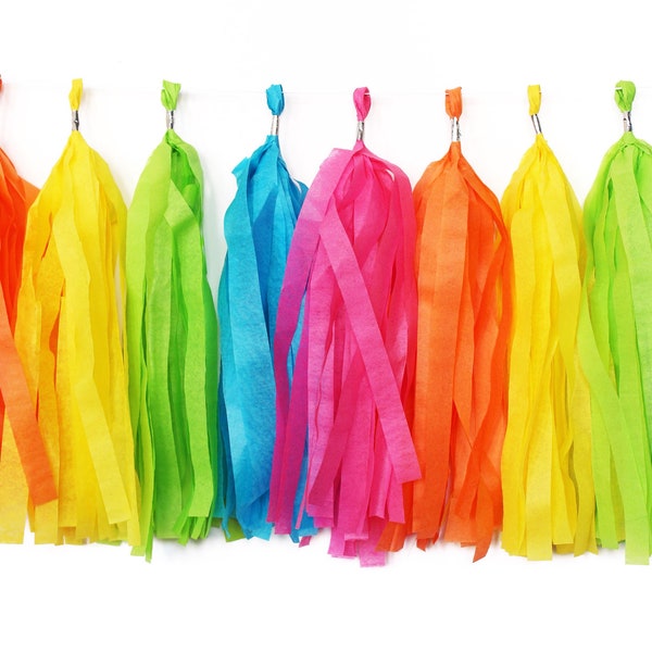 Rainbow Tassel Garland | Tassel Banner | Rainbow Banner | Rainbow Party Decor | Roy G Biv | Rainbow Birthday | PRIDE | Unicorn Party