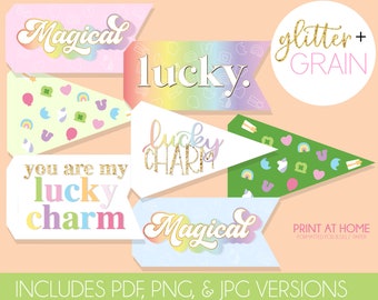 Lucky Charms Printable Pennant Flags | St. Patricks Day DIY Party Favor | Lucky Charms Kids Party Decor| kids Photo Prop | Printable Party