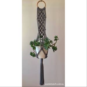 May include: Grey macrame plant hanger with a wooden ring at the top and a tassel at the bottom. A small white pot with a succulent plant is hanging in the macrame.