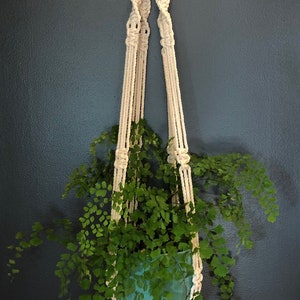 May include: A cream-coloured macramé plant hanger with a wooden ring, supporting a teal pot with a green plant. The macramé features detailed knots and a tassel. The plant's green leaves hang down, creating a decorative display.