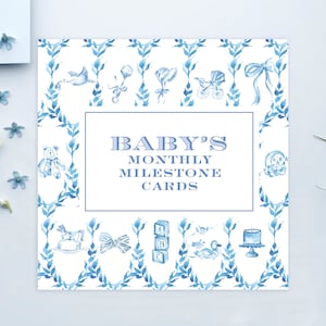 Cartes d’étape mensuelles imprimables pour bébé | Bébé preppy | Traditionnel | Sud | Garçon