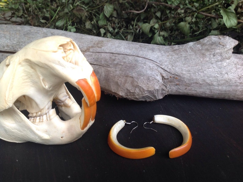 tooth Earrings beaver teeth