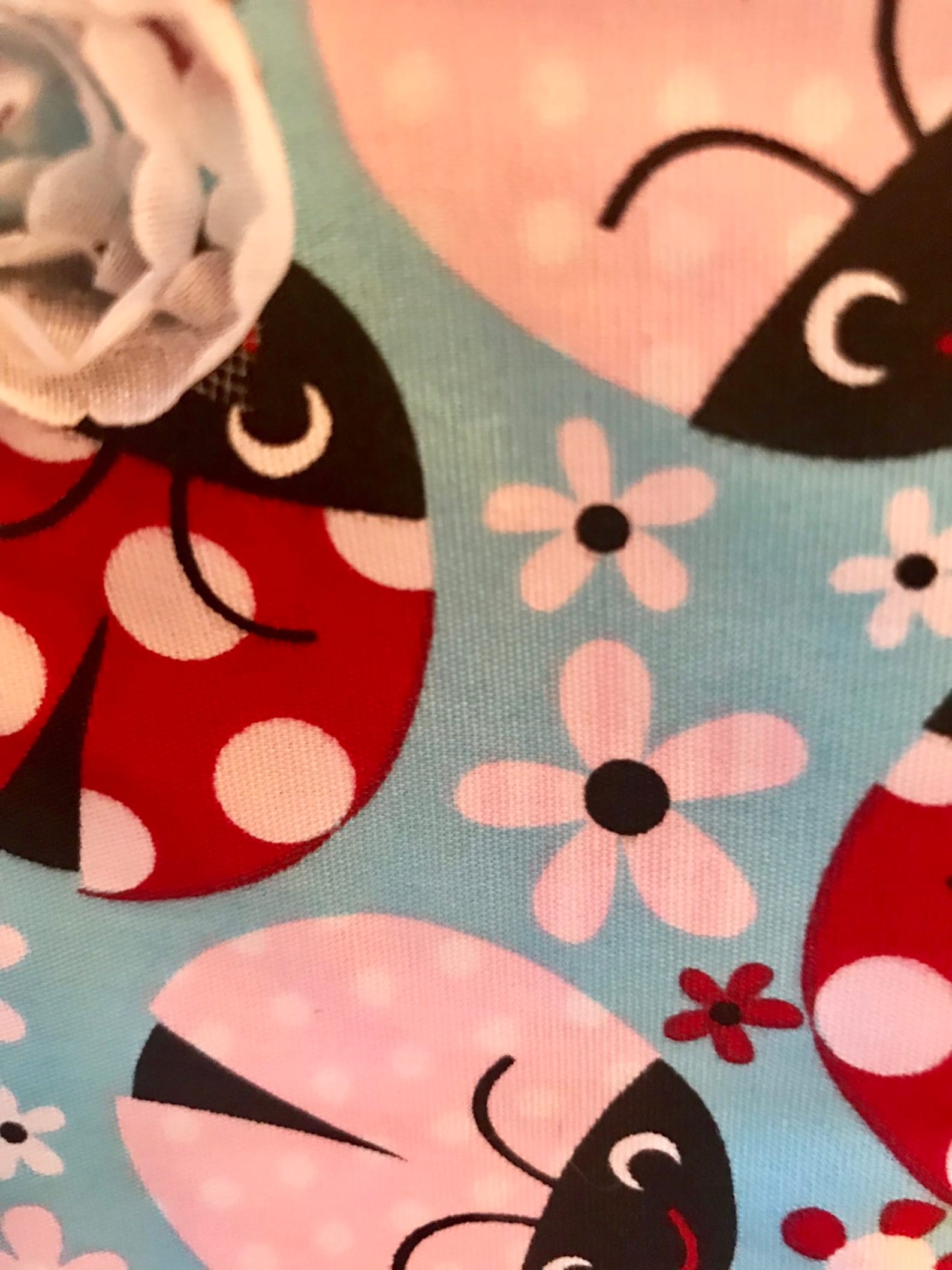 ladybug ballet shoe bag / pointe shoe bag / travel shoe bag / drawstring bag ladybug ballet shoe bag / pointe shoe bag / travel shoe bag / drawstring bag