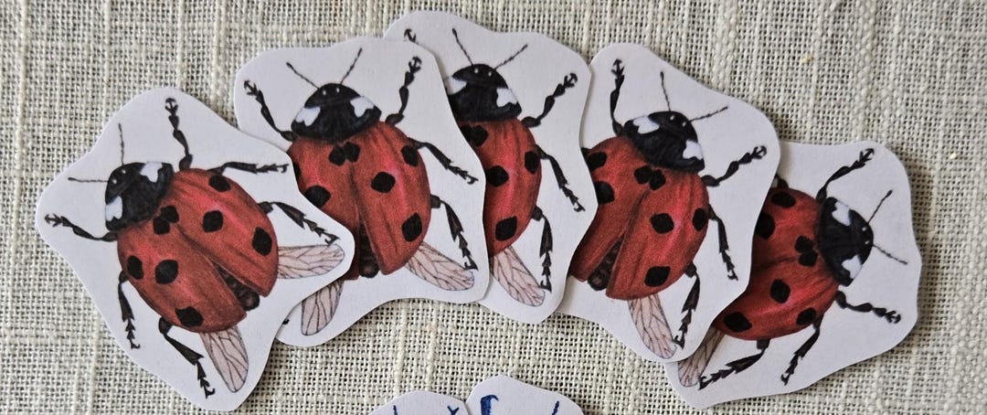 Ladybug Sticker - Etsy