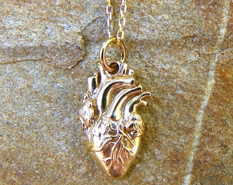 May include: A gold necklace featuring a detailed anatomical heart pendant. The heart is intricately sculpted and has a realistic appearance.