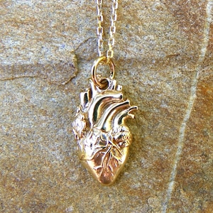 Solid Brass Antique Patina Designer Jan Hilmer Large ANATOMICAL HEART NECKLACE Super Detailed Human Heart Pendant Necklace