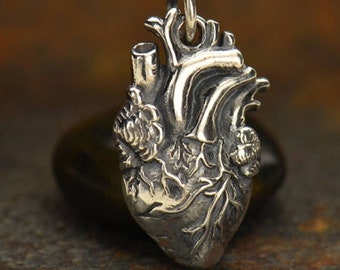 Collana con cuore anatomico / Ciondolo a forma di cuore umano / Regalo per personale medico, dottore, infermiere, amore, battito cardiaco / Argento sterling 925 1164