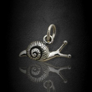 May include: A silver snail charm with a detailed shell and a curled tail. The charm is perfect for adding a touch of whimsy to jewelry.