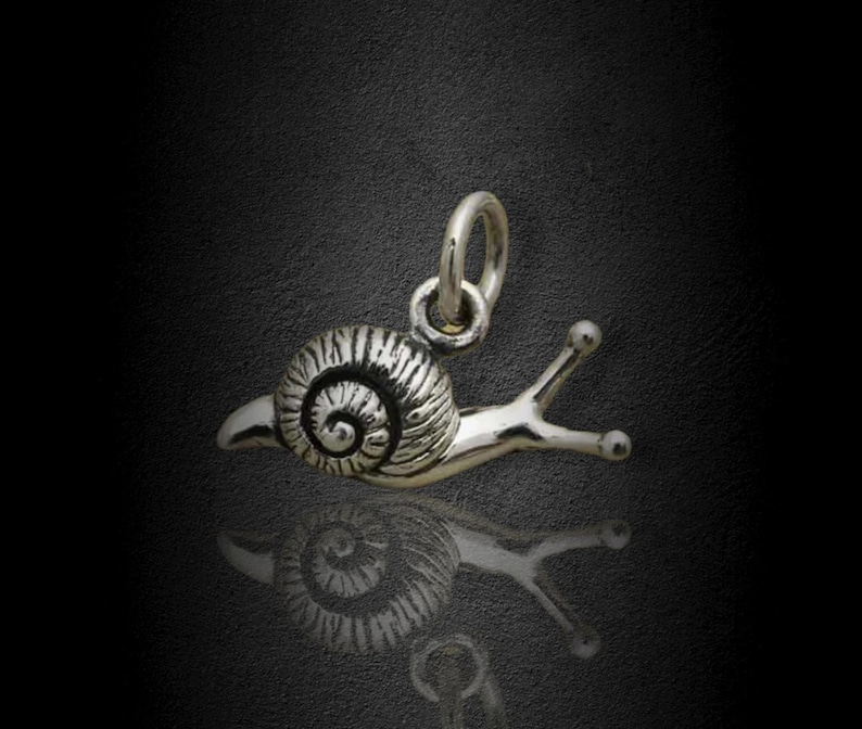 May include: A silver snail charm with a detailed shell and a curled tail. The charm is perfect for adding a touch of whimsy to jewelry.