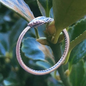 Ouroboros Silver Snake Ring, Serpent Reptile Gothic Goth, Stacking Ring Supply, UK Size L N P R, Curiology Snake Eating Tail 704