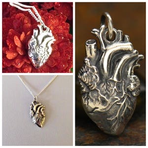 May include: A silver anatomical heart pendant necklace. The heart is detailed with veins and chambers. The necklace is on a silver chain.