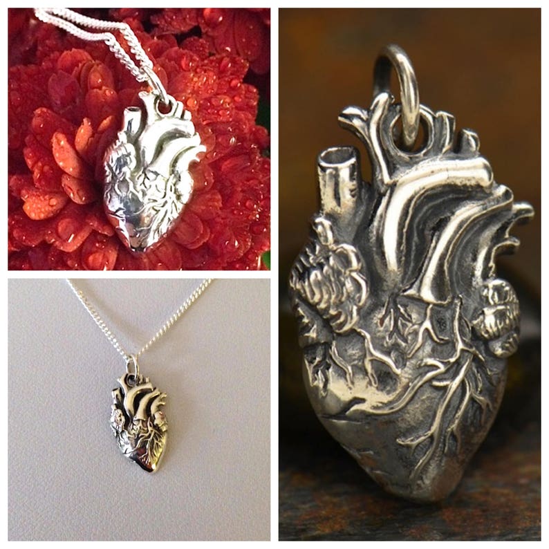 May include: A silver anatomical heart pendant necklace. The heart is detailed with veins and chambers. The necklace is on a silver chain.