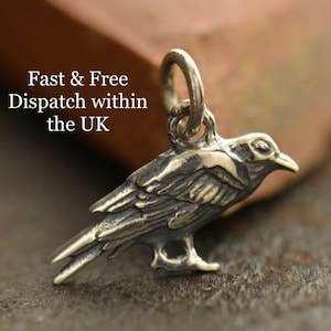 Sterling Silber Raben Halskette, Gothic Waldvogel Anhänger für Frauen, Talisman Anhänger, Witchy Schmuck, Realistischer Silber Rabe 6000