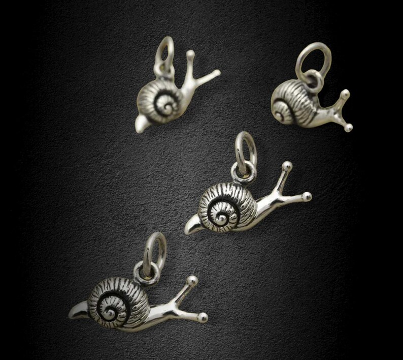 May include: Four silver snail charms with detailed shell and body features. These charms are perfect for adding a whimsical touch to jewelry or crafts.