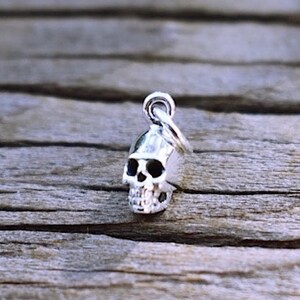 May include: A silver skull charm pendant. The skull is detailed with eye sockets, a nose, and a mouth. The charm is attached to a silver loop.