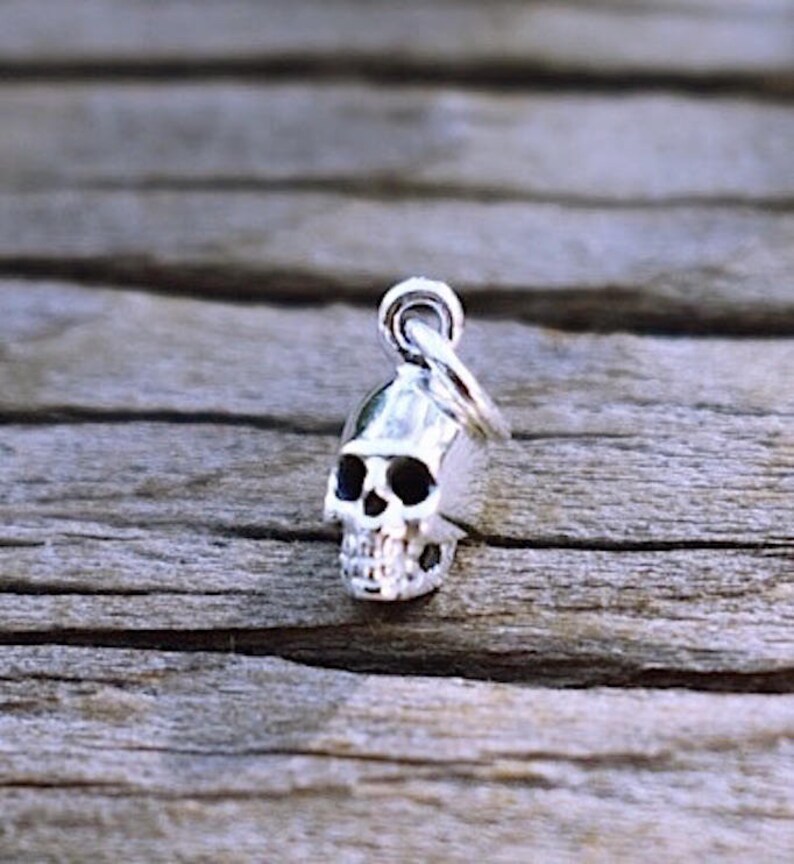 May include: A silver skull charm pendant. The skull is detailed with eye sockets, a nose, and a mouth. The charm is attached to a silver loop.