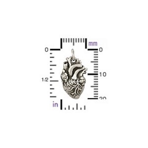 May include: A silver anatomical heart charm pendant. The charm is about 1 inch in size and features a detailed depiction of the human heart.