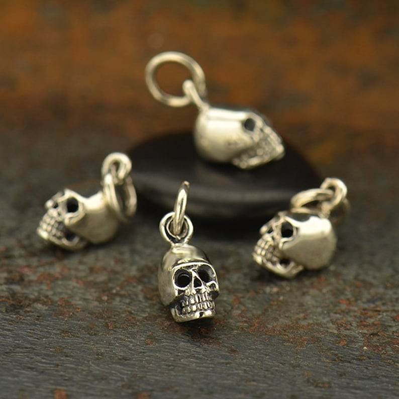 Tiny Skull Charm 925 Sterling Silver Necklace / Whimsigoth Gothic Goth Skeleton / Pendant Day of Dead / Rebirth Renewal 1125 image 1