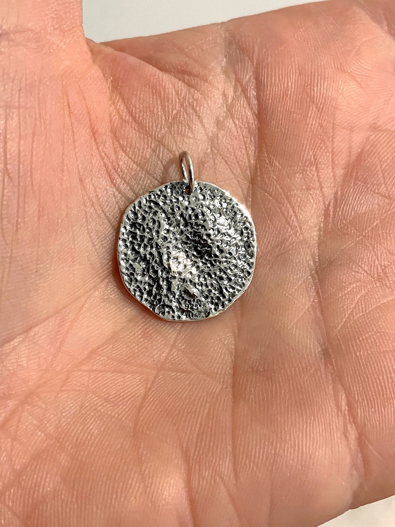 Owl of Athena Ancient Coin Necklace, Sterling Silver Greek Charm, Mythology Pendant Snake Chain, Men's & Women's Jewelry Strength Gift 886 image 7