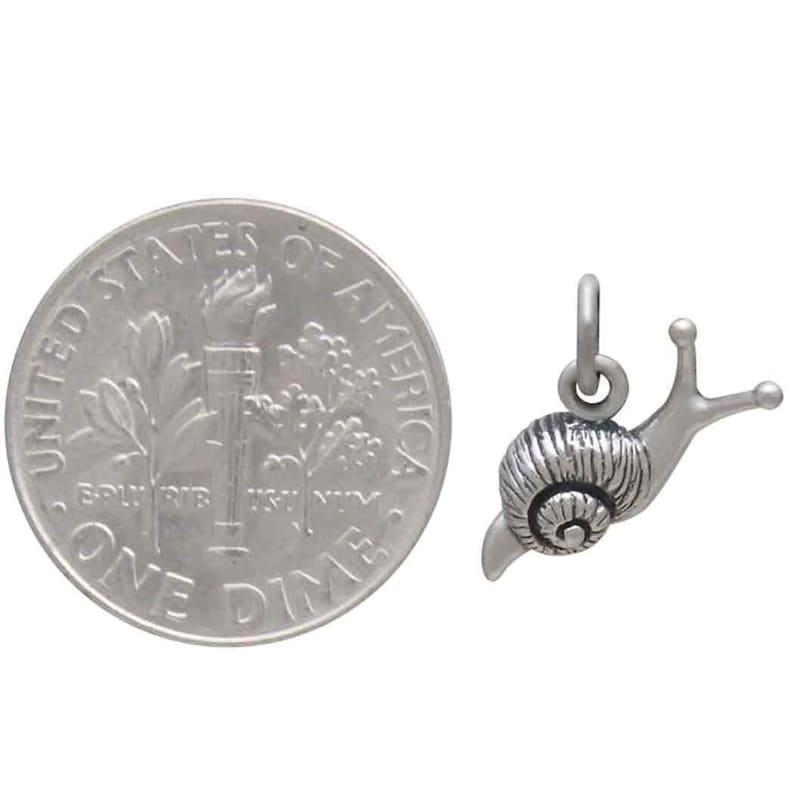 May include: A silver snail charm pendant, shown next to a US dime for size comparison. The snail charm is detailed with a textured shell and outstretched tentacles.