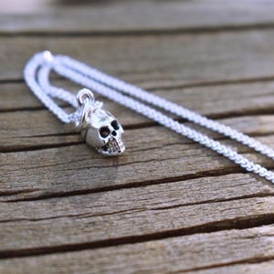 May include: A silver chain necklace with a small silver skull pendant. The skull has a detailed design and is attached to the chain with a small loop.