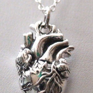 May include: A silver necklace with a detailed anatomical heart pendant. The heart is intricately sculpted with veins and arteries.