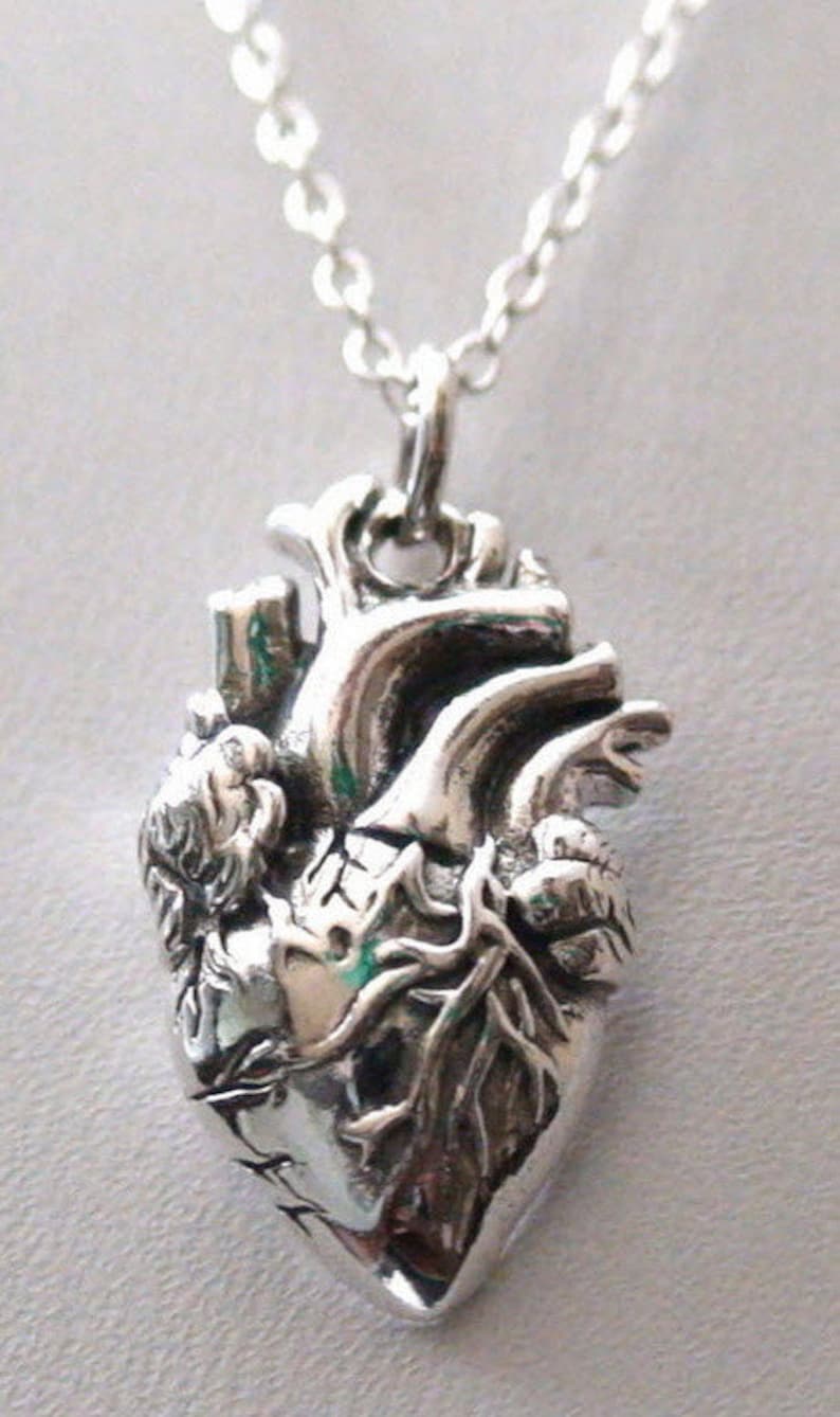 May include: A silver necklace with a detailed anatomical heart pendant. The heart is intricately sculpted with veins and arteries.