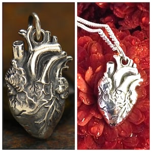 Collier coeur anatomique / Charme coeur humain / Cadeau pour le personnel médical Médecin Infirmière Love Heartbeat / 925 Sterling Silver 1164 image 1