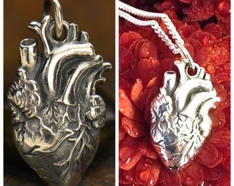 Anatomical Heart Necklace / Human Heart Charm / Gift for Medical Staff Doctor Nurse Love Heartbeat / 925 Sterling Silver 1164