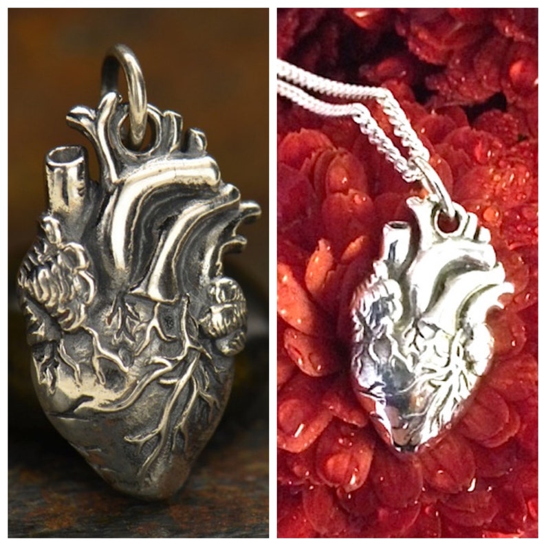 May include: A silver anatomical heart pendant necklace with intricate details. The heart is detailed with veins and arteries, and has a realistic appearance. The necklace is on a silver chain and is displayed on a red background.