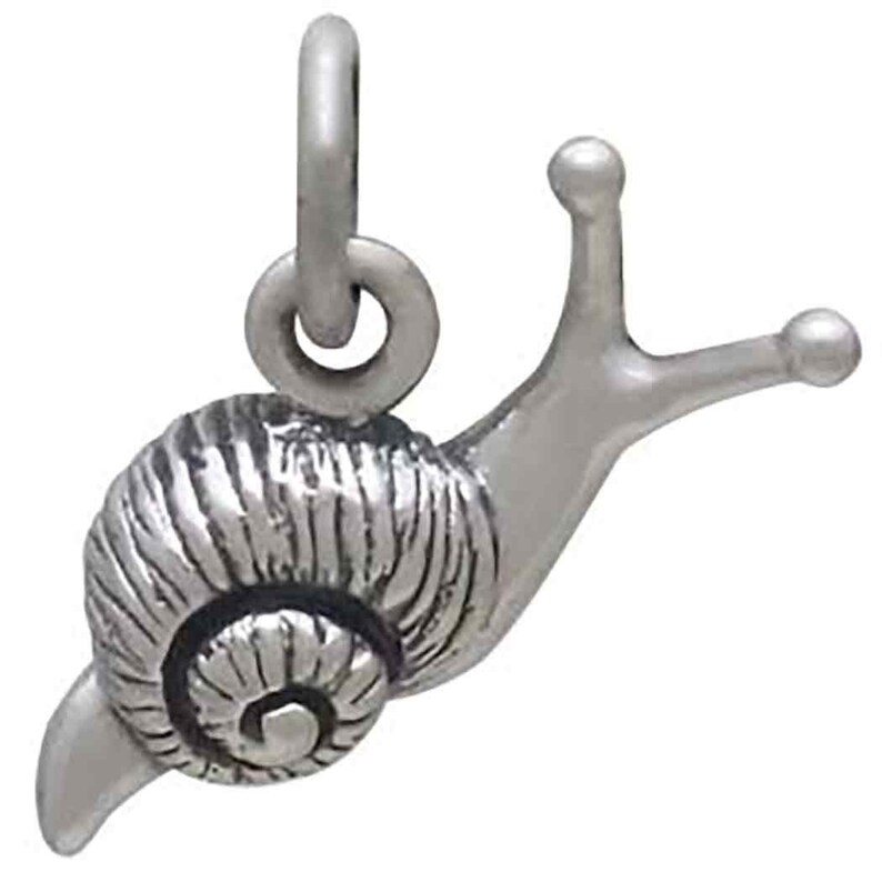 May include: A silver snail charm with a detailed shell and a curled tail. The charm has a loop at the top for attaching to a necklace or bracelet.