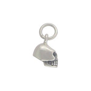 May include: A silver skull charm with a loop for attaching to a necklace or bracelet.