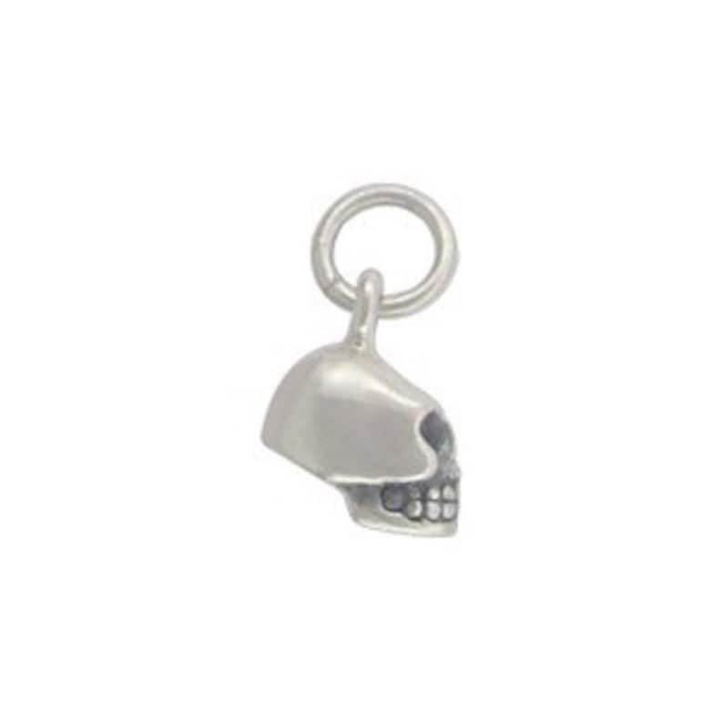May include: A silver skull charm with a loop for attaching to a necklace or bracelet.