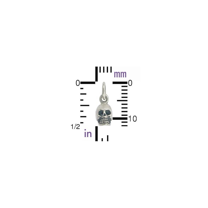 May include: A silver skull charm with a black face, measuring approximately 10 mm in diameter. The charm is shown against a white background with a ruler for size reference.