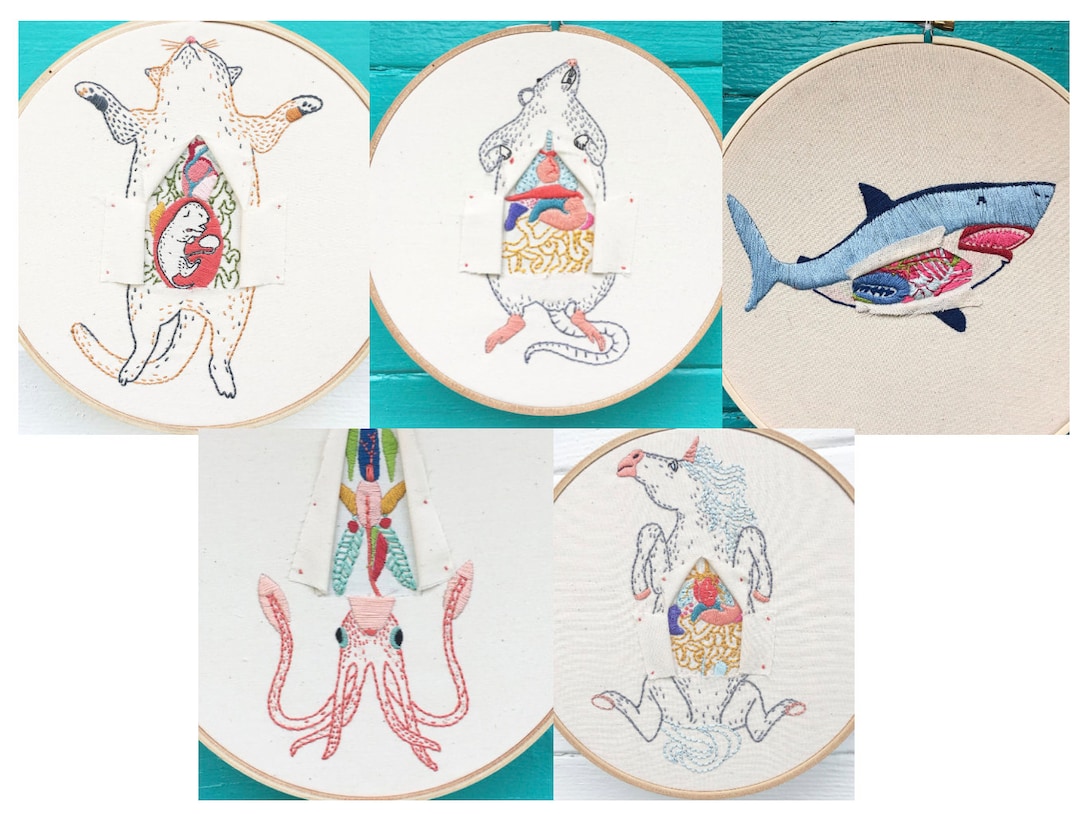 Hand Embroidery Pattern Bundle, Dissection Pattern Bundle - Etsy