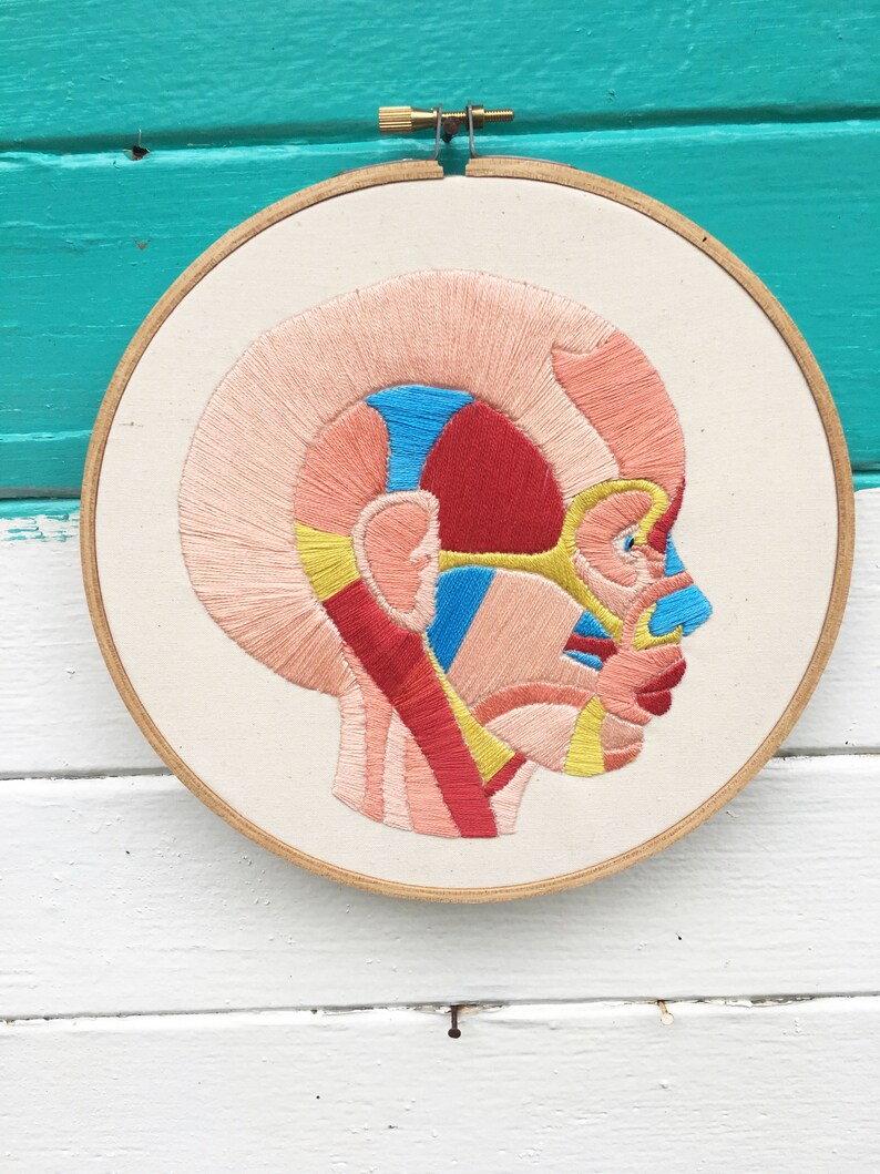 Hand Embroidery Pattern, Embroidery Pattern, Face Muscles Embroidery Pattern image 3