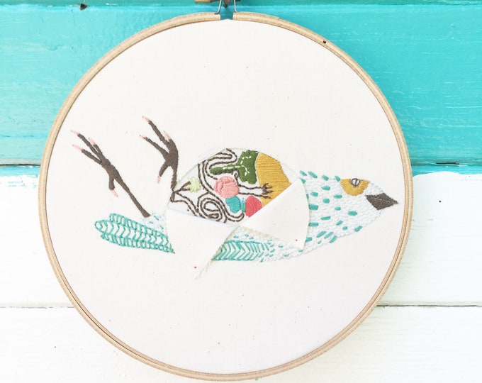 Bird Dissection Kits Etsy