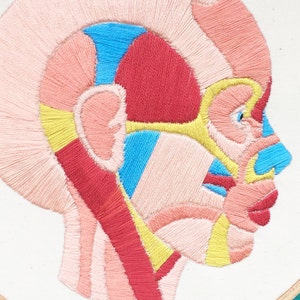 Hand Embroidery Pattern, Embroidery Pattern, Face Muscles Embroidery Pattern image 4