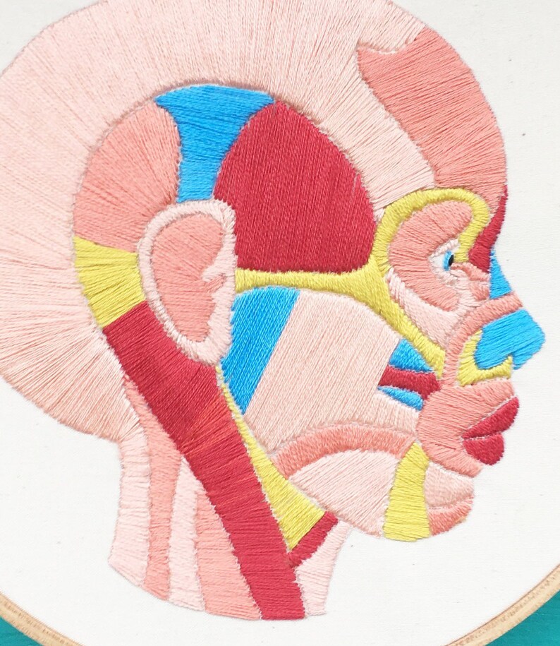 Hand Embroidery Pattern, Embroidery Pattern, Face Muscles Embroidery Pattern image 4