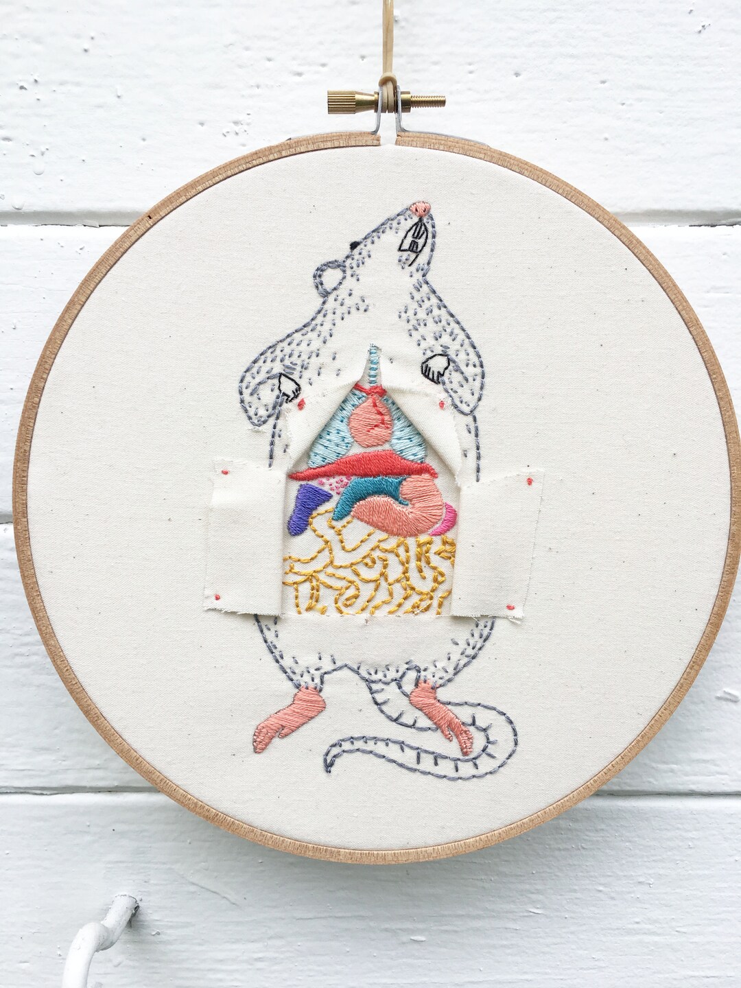 Hand Embroidery Pattern, Rat Dissection Pattern, Science Pattern ...