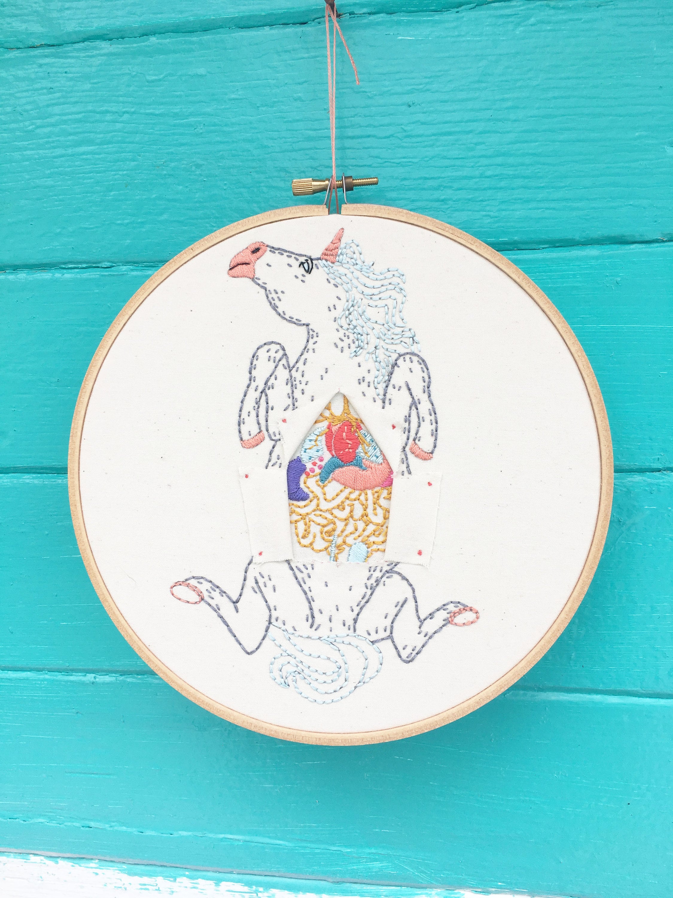 Embroidery Kit, Hand Embroidery Kit, Unicorn Dissection Kit