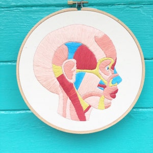 Hand Embroidery Pattern, Embroidery Pattern, Face Muscles Embroidery Pattern image 2